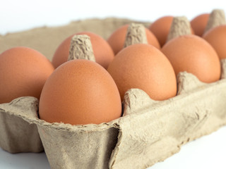 Close up image of fresh chicken eggs in opened box