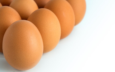 Close up image of chicken eggs on white background