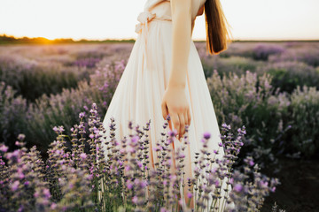 Side view of crop young fashionable female in pale rose dress standing in lavender field. Unrecognizable woman in dress  walking amidst lavender bushes in field on summer day.