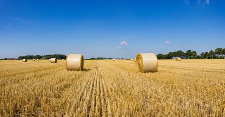Fototapeta premium Heuballen im August