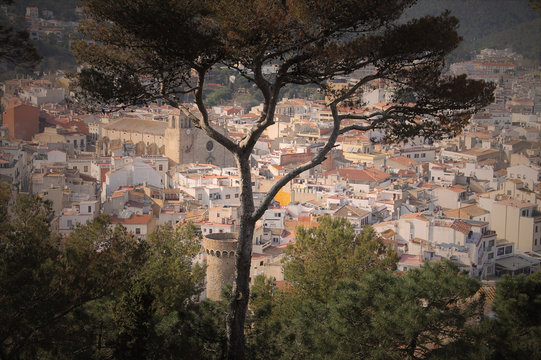 Landscape With Tree Silhouette Of An Old City With Medieval Buildings, Seen By Top Of Hill, Tossa De Mar Spain