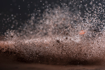 hazel  and almonds with chocolate