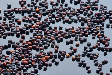 large amount of quinoa is poured onto a black reflective surface, milky, macro photography,