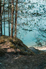 Water in forest, Sea in forest, blue water