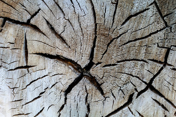 Nahaufnahme eines Brett, Stück Holz, eine Holztextur