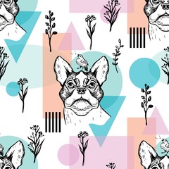 Vector image of the Boston Terrier, bird and geometric shapes.
