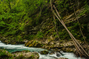 Fototapeta na wymiar Waterfall at the Vintar Gorge