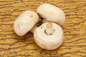 Raw Champignon heap for cooking