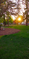 sunset in a park