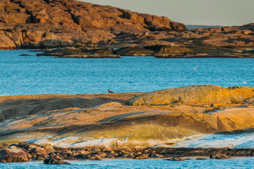 Skaliste wybrzeże w Parku narodowym Ytre Hvaler w Norwegii © Dreamnordno
