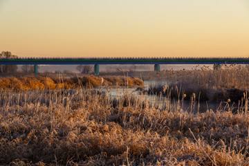 Poranek w Narwiańskim Parku Narodowym. Rzeka Narew. Polska Amazonia. Podlasie. Polska © podlaski49