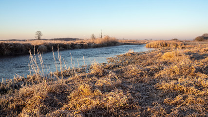 Poranek w Narwiańskim Parku Narodowym. Rzeka Narew. Polska Amazonia. Podlasie. Polska © podlaski49
