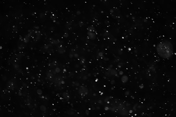snow black background abstract texture, snowflakes falling in the sky overlay