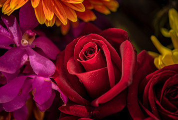 Naklejka premium Bouquet of fresh roses, flower bright background.