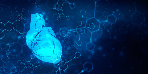 2d illustration  Anatomy of Human Heart 