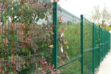 Clôture de panneaux grillagés et arbustes en fleurs