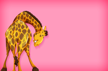 Background template design with plain color and giraffe