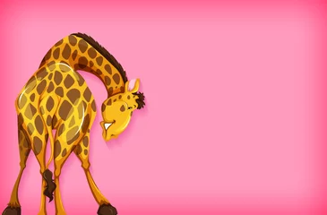 Hintergrundschablonendesign mit einfarbiger Farbe und Giraffe © blueringmedia