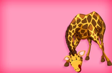 Hintergrundschablonendesign mit einfarbiger Farbe und Giraffe © blueringmedia