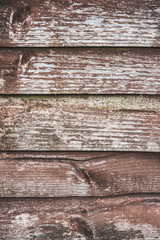 Wooden Panel Texture Floor