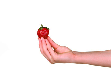Female hand holding a fresh sweet strawberry isolated on white background.