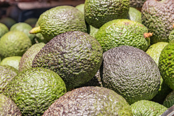 Close up of a large pile of ripe canarian avocado pears for sale at Tenerife farmers market. Selective focus