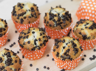 chocolate chip muffins
