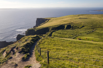 Coastline pathway Cliffs of Moher