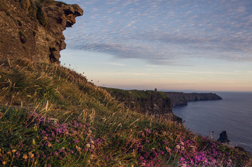 Viewpoint to the cliffs of moher with flowers 