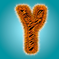 Tiger 3D rendering hebrew alphabet and number of funny fur font isolated on blue background. Halloween concept