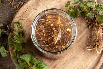 Nettle roots macerating in alcohol in a glass jar