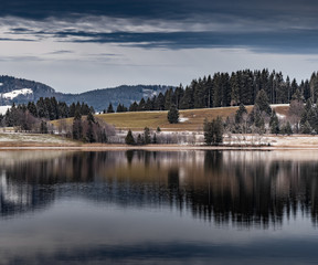 Landscape of a specular reflection in the lake, a dry grass, a cane and snags in the foreground,...