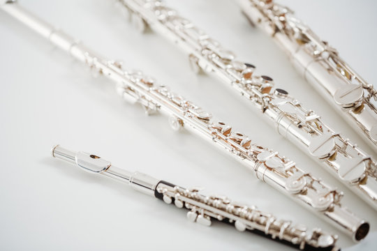 Flute family
