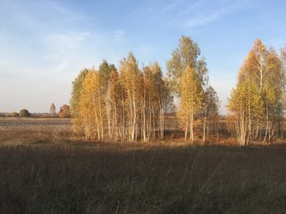 Autumn landscape with trees. Yellow trees under blue sky. Beautiful autumn sunny day in a village