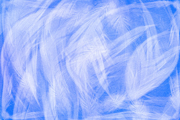 blue texture