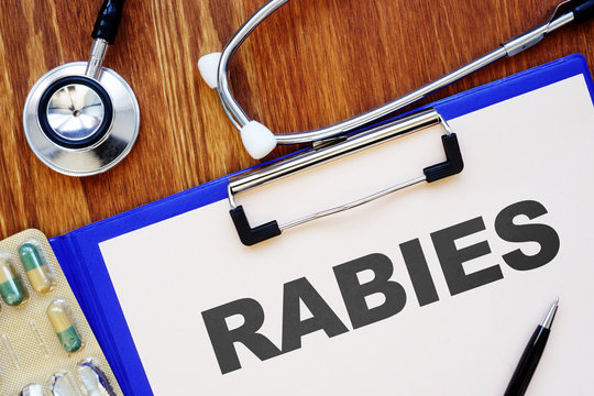 Medical photo shows hand written text Rabies