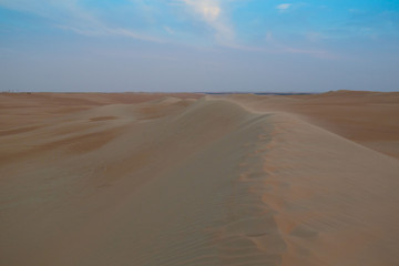 UAE. Desert  landscape