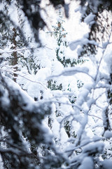 Cirque de Saint meme