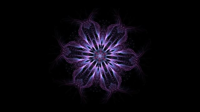purple fractal mandala in kaleidoscopic motion on black background