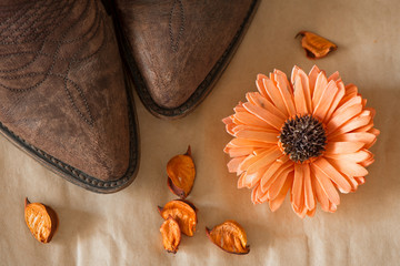 toes of brown cowboy boots with big orange daisy flower