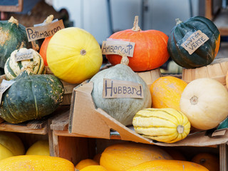 Variety of squashes on a stall in Jean Talon market