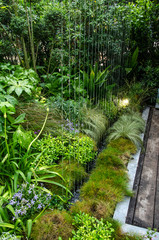 jardin zen eau