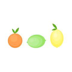 This is citrus fruits. Lemon, lime, orange, mandarine on white background.