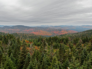 Colorful trees during autumn in the Laurentides, Quebec