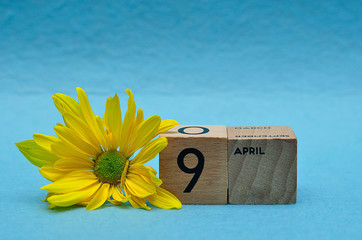 9 April on wooden blocks with a yellow aster on a blue background