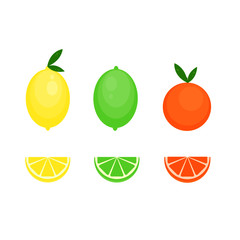 This is vector citrus fruits. Lemon, lime, orange, mandarine isolated on white background.