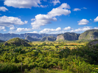 Fototapeta na wymiar Green mountain landscape in the valley of vinales in cuba
