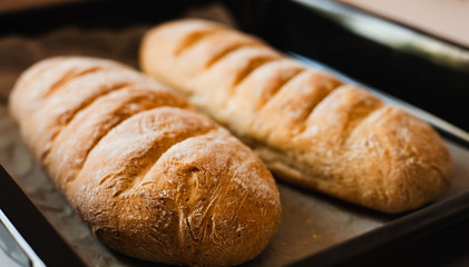 Two freshly baked homemade bread on baking tray. Close-up.