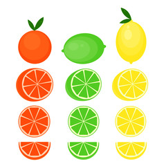 This is vector citrus fruits. Lemon, lime, orange, mandarine isolated on white background.