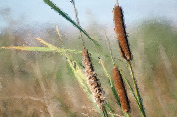 Impressionistic Style Artwork of Three Tall Cattails Waving in the Autumn Marsh Breeze